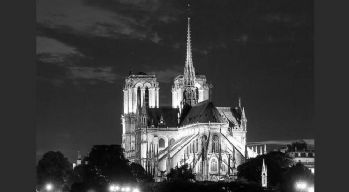 News Press - Mobilisation pour Notre-Dame de Paris - LVMH - Louis Vuitton Moët Hennessy
