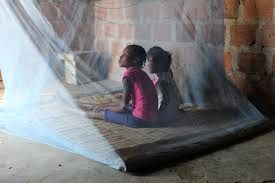 Vivre sans paludisme Au Tchad, les agents de santé communautaire luttent contre l'une des maladies les plus mortelles dans le monde