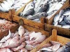 Import of fishery products: Council agrees on autonomous EU tariff quotas for the period 2019-2020