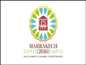 Les enjeux de la COP22