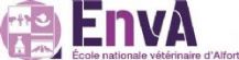 L'EnvA s'engage dans la lutte contre les incivilités au sein de ses établissements hospitaliers vétérinaires !