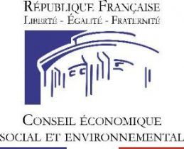 Le Conseil économique social et environnemental fait des propositions pour la réinsertion des personnes détenues