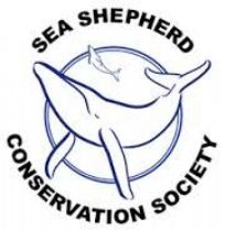 Sea Shepherd victime d'attaques en France