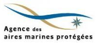 Le conseil de gestion valide le plan de gestion du Parc naturel marin du Bassin d'Arcachon à l'unanimité 