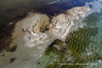 Quarante ans de conservation du littoral : (re)découvrez les plus beaux sites du Languedoc-Roussillon