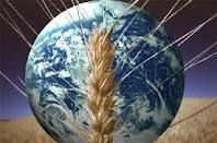 Les conséquences de la guerre en Ukraine :  géopolitique et sécurité alimentaire du blé