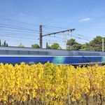 Interruption des trains autour de Montpellier du 25 mai au 28 mai 2017