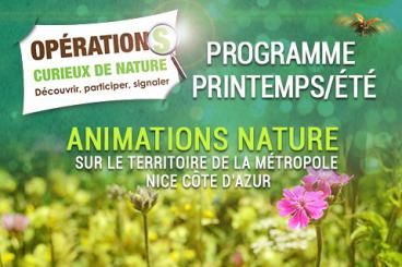 Curieux de Nature : Découvrez le programme sur le territoire de la Métropole Nice Côte d'Azur 