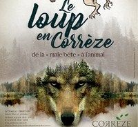 Le loup en Corrèze, de la 