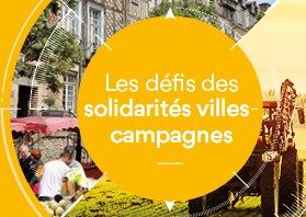 Convention de l'intercommunalité à Nantes les 4,5 et 6 octobre : l'AdCF lance une grande enquête auprès des présidents de communautés et de métropoles