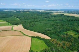 Bourgogne-Franche-Comté : La filière forêt-bois une richesse pour notre région
