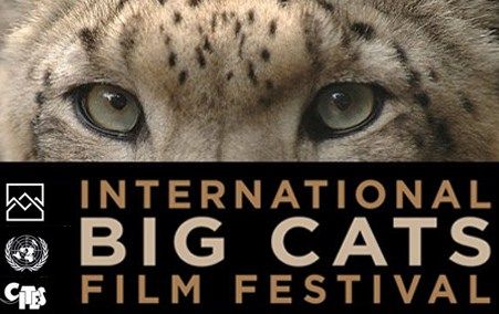 Finalists Announced for International Big Cats Film Festival