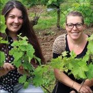 Création du premier diplôme dédié à la viticulture de terroir à Strasbourg