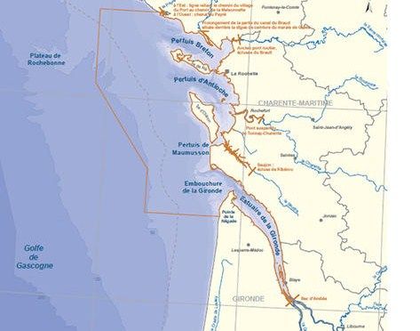 Validation du plan de gestion du Parc naturel marin de l'estuaire de la Gironde et de la mer des Pertuis