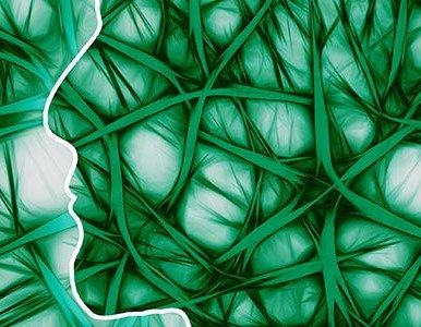 Maladie d'Alzheimer : les variations du système immunitaire dans le cerveau se reflètent sur la progression de la maladie