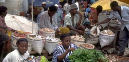 Un nouveau projet de développement agricole pour soutenir l'agriculture familiale et réduire les importations de produits alimentaires en Union des Comores