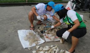 GEF Assembly beach clean-up yields nearly 1 kilo of trash per metre per minute