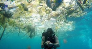 Socialistes européens  : Il faut un plan Marshall pour les océans contre les déchets du plastique
