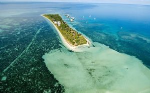Protection des espaces marins : retour sur l'engagement de la Nouvelle Calédonie