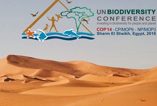 COP14 Biodiversité : 196 gouvernements acceptent d'intensifier leurs efforts pour la nature d'ici 2020 et au-delà