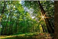 Signature de l'accord cadre : « Gestion et valorisation des milieux forestiers de Nouvelle-Aquitaine»