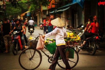 La transition nutritionnelle au Vietnam : éclairages nouveaux à partir d'outils statistiques et économétriques récents
