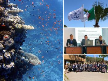 En Algérie, une formation de l'OMI pour protéger le milieu marin
