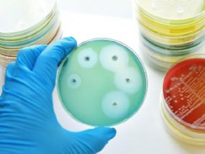 EMA facilitates early engagement with medicine developers to combat antimicrobial resistance