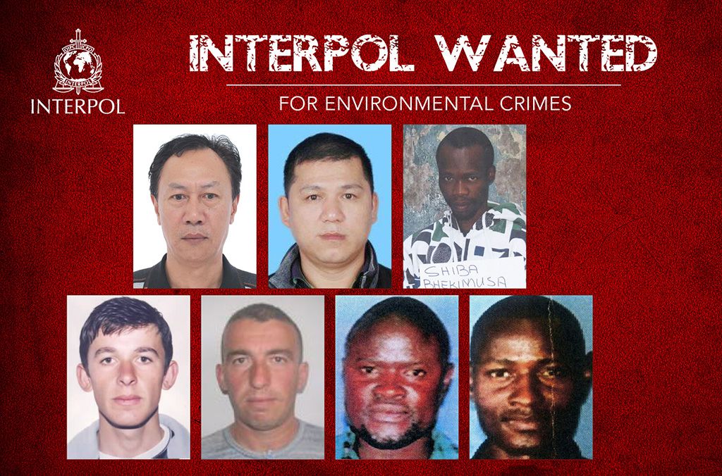 Aidez INTERPOL à retrouver des fugitifs recherchés pour des atteintes à l'environnement.