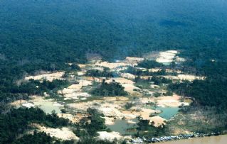 Des milliers de chercheurs d'or envahissent le territoire des Yanomami