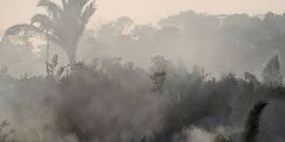 Ce qui se passe réellement en Amazonie Par les Pompiers humanitaires