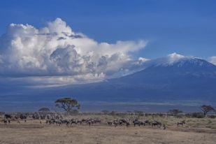 Inquiétude de l'Union Internationale des alpinisqtes : un téléphérique sur le Kilimanjaro !