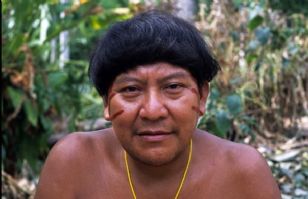 Davi Yanomami, le « dalaï-lama de la forêt amazonienne », remporte le « Prix Nobel alternatif »