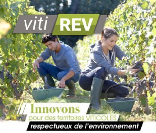 VitiREV, innovons pour des territoires viticoles respectueux de l'environnement