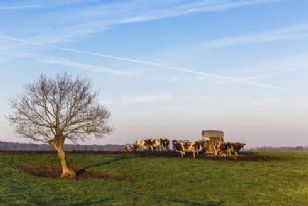 La Région Pays de la Loire prolonge son soutien à la trésorerie des agriculteurs