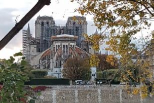 Les Sénateurs s'inquiètent au sujet du projet de restauration de Notre Dame 