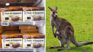 Les supermarchés belges arrêtent la vente de viande de kangourou !