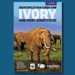 La CITES, le WWF et TRAFFIC publient un nouveau guide pour faciliter l'identification de l'ivoire de contrebande
