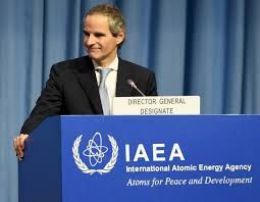 IAEA Director General Grossi's Initiative to Travel to Ukraine