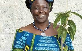 Réouverture de l'appel à candidatures pour le prix Wangari Maathai « champion de la cause des forêts »