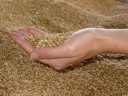 Les États-Unis aident le Programme alimentaire mondial des Nations unies à acheter jusqu'à 150 000 tonnes de blé ukrainien
