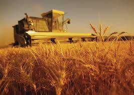  GUERRE EN UKRAINE ; Décryptage des enjeux pour l'agriculture française et les marchés mondiaux