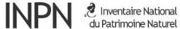 Mise en ligne des données de l'enquête Lichens d'Auvergne-Rhône-Alpes 